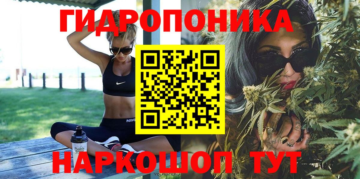 Каннабис сатива  Бошки Шишки LSD WEED  Каннабис гибрид  Курчалой  Вход с VPN 